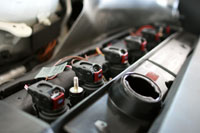 804 plazma IMG_1487.jpg